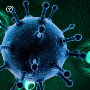 Copy-of-Biology