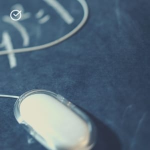 Copy-of-Copy-of-Copy-of-Lifespan-dev-